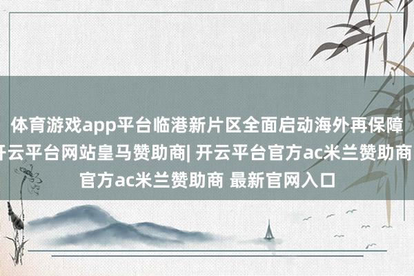 体育游戏app平台临港新片区全面启动海外再保障功能区建立-开云平台网站皇马赞助商| 开云平台官方ac米兰赞助商 最新官网入口