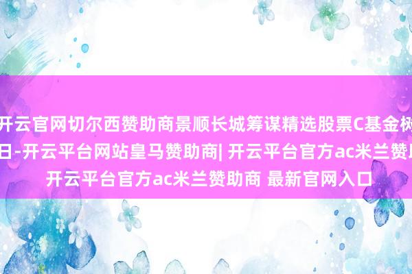 开云官网切尔西赞助商景顺长城筹谋精选股票C基金树立于2023年8月3日-开云平台网站皇马赞助商| 开云平台官方ac米兰赞助商 最新官网入口