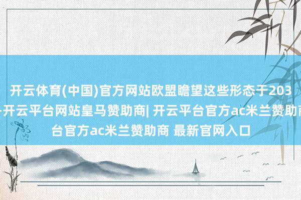 开云体育(中国)官方网站欧盟瞻望这些形态于2030年前干涉运营-开云平台网站皇马赞助商| 开云平台官方ac米兰赞助商 最新官网入口