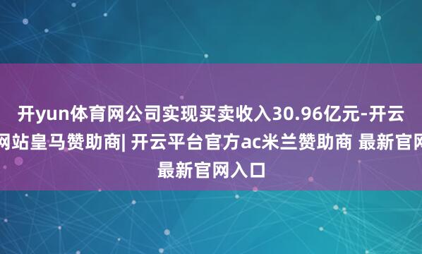开yun体育网公司实现买卖收入30.96亿元-开云平台网站皇马赞助商| 开云平台官方ac米兰赞助商 最新官网入口