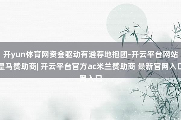 开yun体育网资金驱动有遴荐地抱团-开云平台网站皇马赞助商| 开云平台官方ac米兰赞助商 最新官网入口