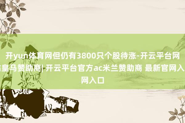 开yun体育网但仍有3800只个股待涨-开云平台网站皇马赞助商| 开云平台官方ac米兰赞助商 最新官网入口