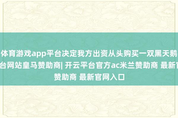 体育游戏app平台决定我方出资从头购买一双黑天鹅-开云平台网站皇马赞助商| 开云平台官方ac米兰赞助商 最新官网入口